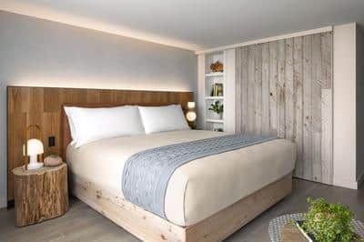 Terrace Studio Suite