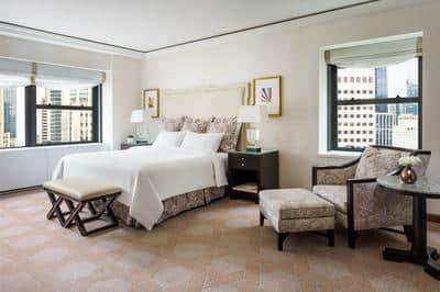Palace Signature Suite