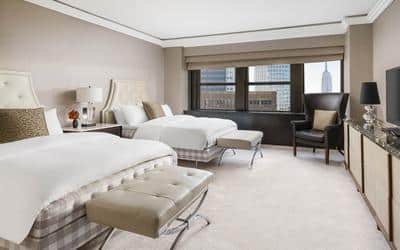 Champagne Suite