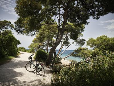 Cycling