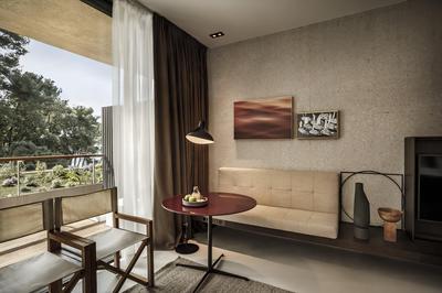 Premium Park View Room