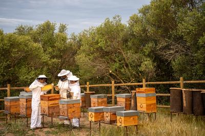 Beekeeping