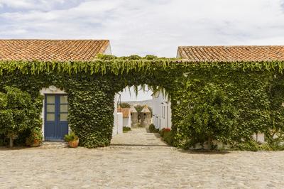 Winery Room