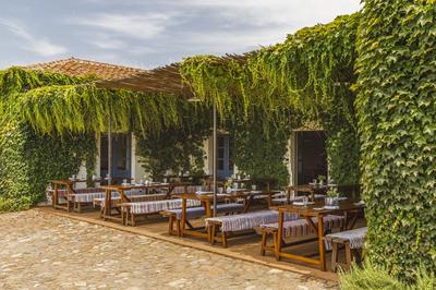 Restaurant Terrace