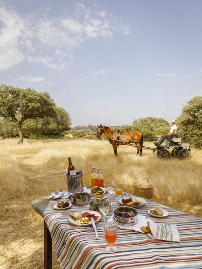 Picnic in the Estate
