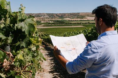 Winery Experience