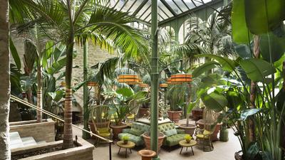 The Palm Court