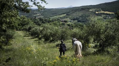 Wild Hacks & Foragin