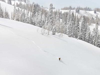 Skiing & Snowboarding