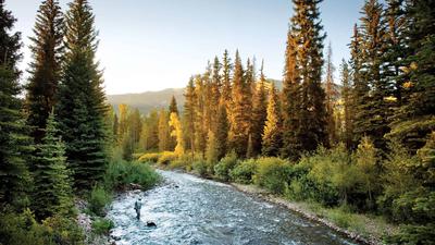 Local Fly Fishing