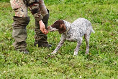 Truffle Hunting