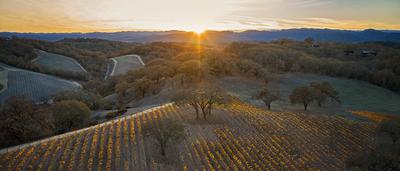 Vineyard Exterior