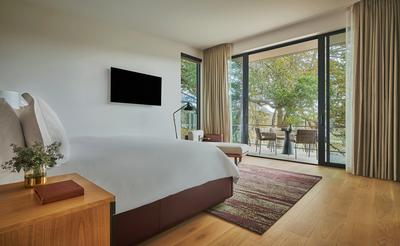 Deluxe Vineyard One Bedroom Suite