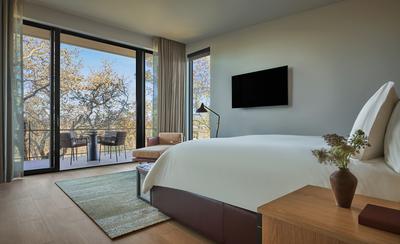 Forest One Bedroom Suite