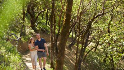 Outdoor Hiking