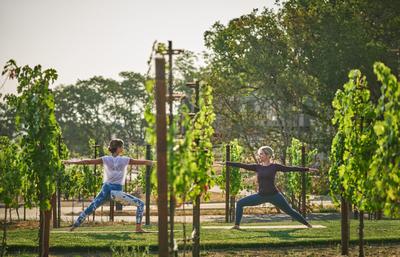 Spa Montage - Yoga