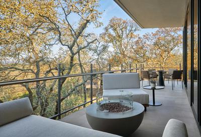 Forest One Bedroom Suite