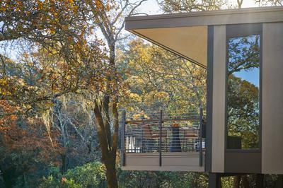 Forest Studio