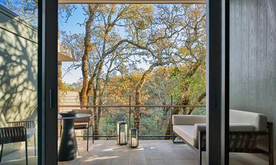 Forest Queen Queen Room