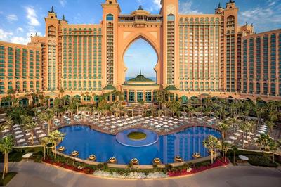 Palm Pool