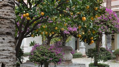 Courtyard