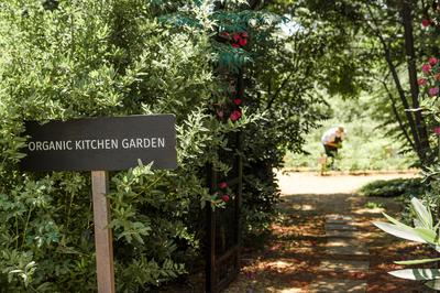 Organic Kitchen Garden