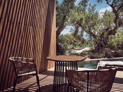 Superior Water Suite Swim Up Pool View
