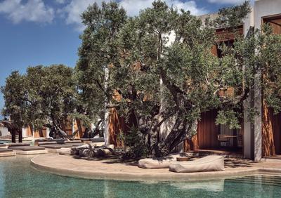 Superior Water Suite Swim Up Pool View
