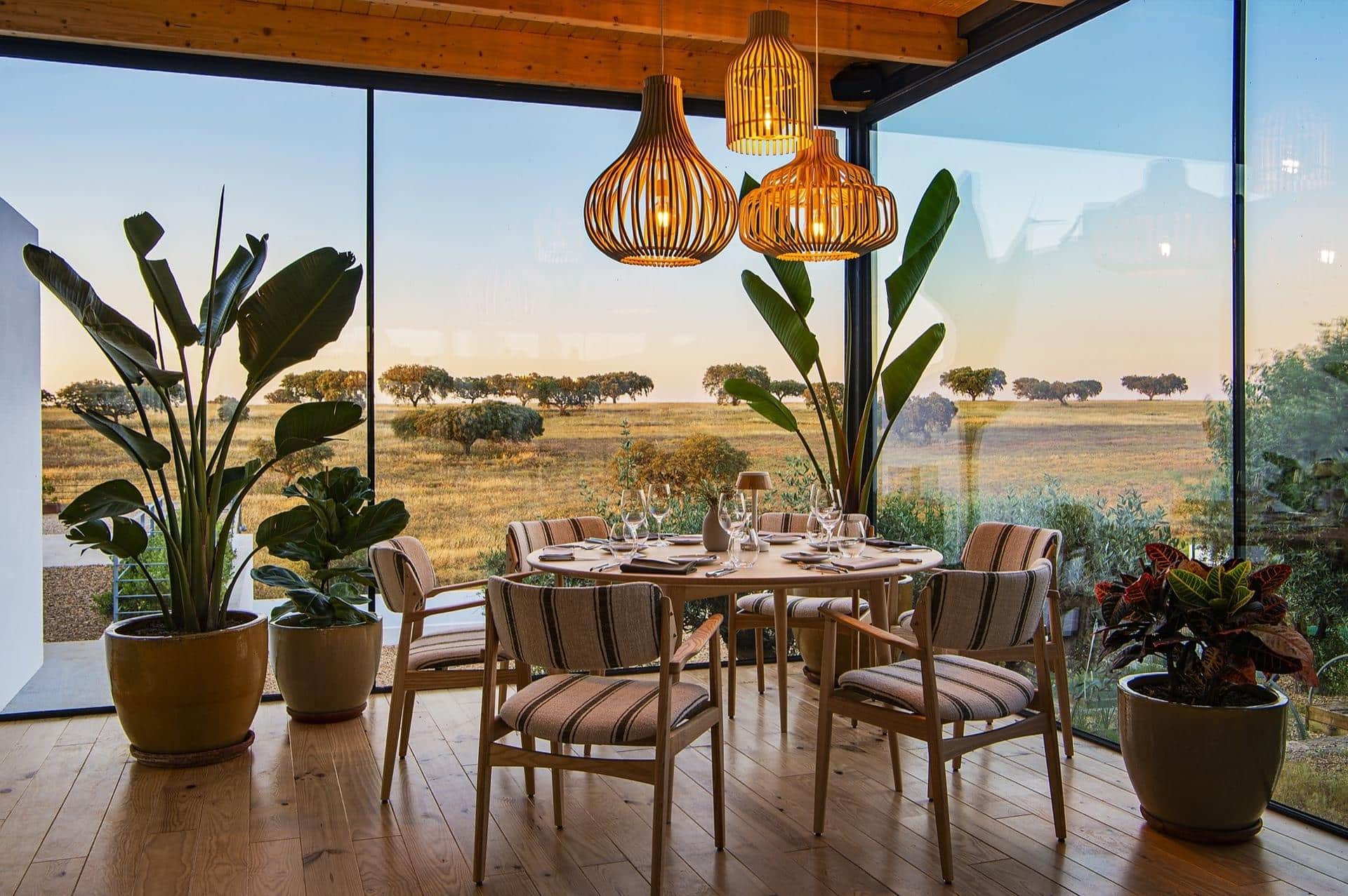 Farm to Table