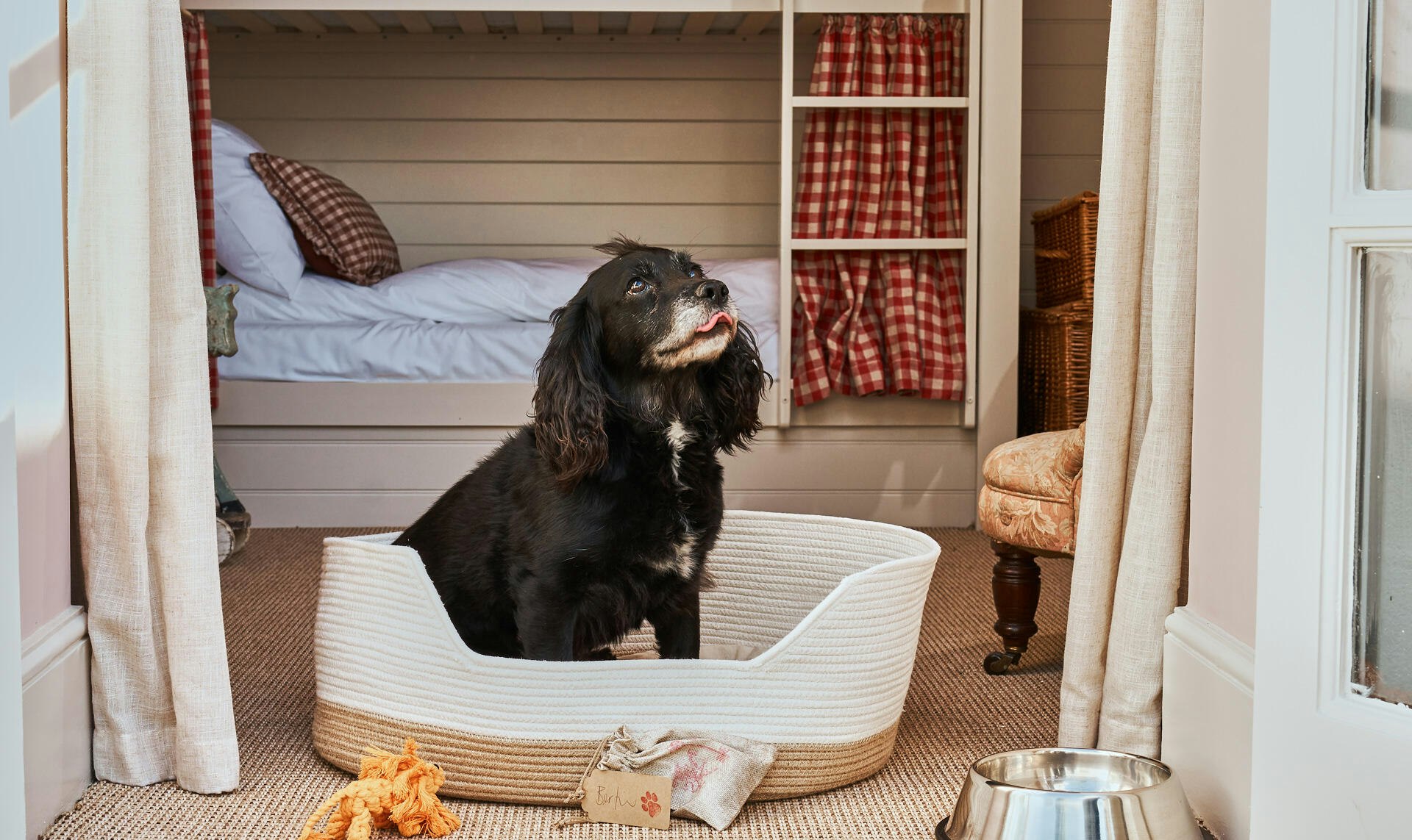 Pets at The Mitre, Hampton Court