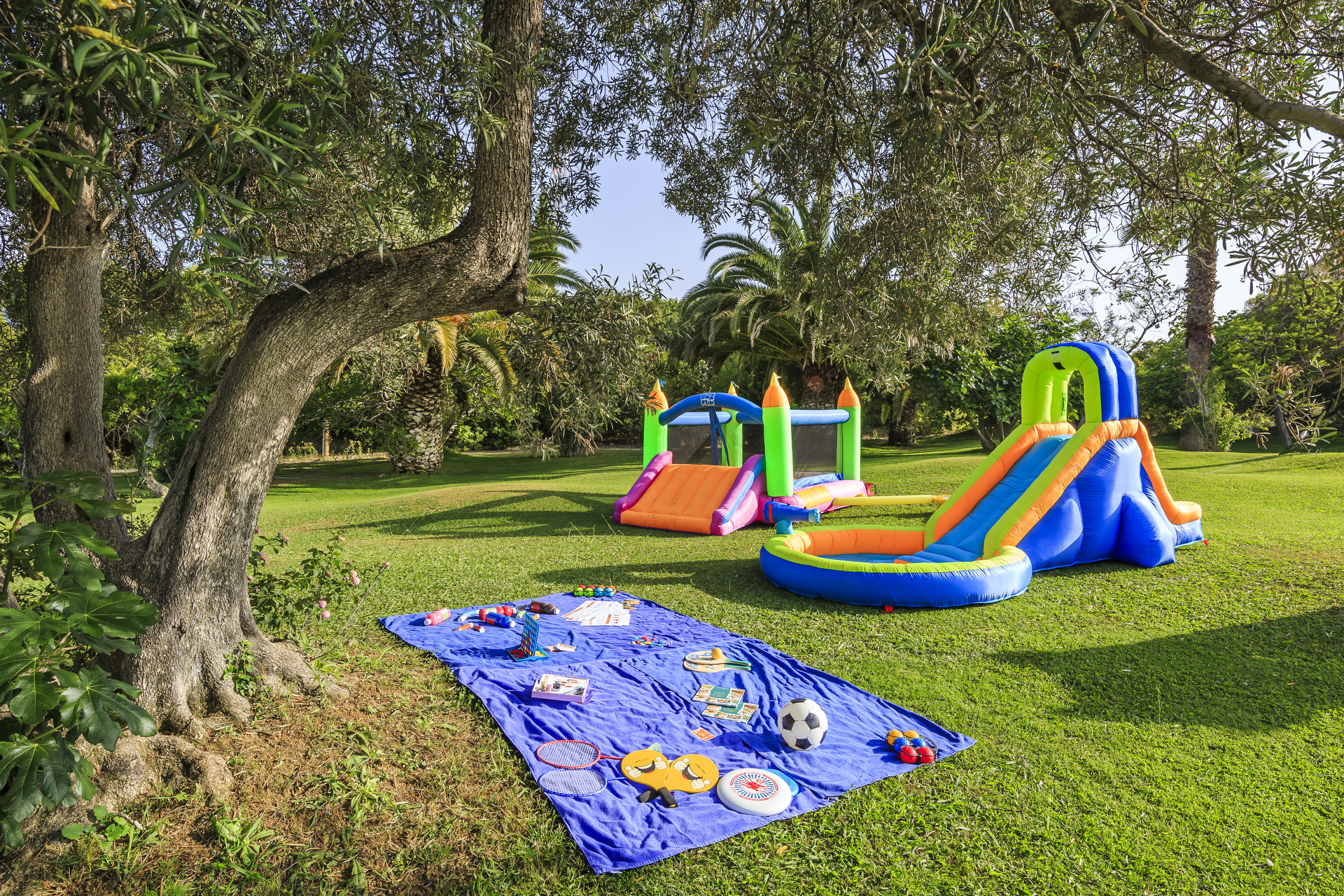 Play Area