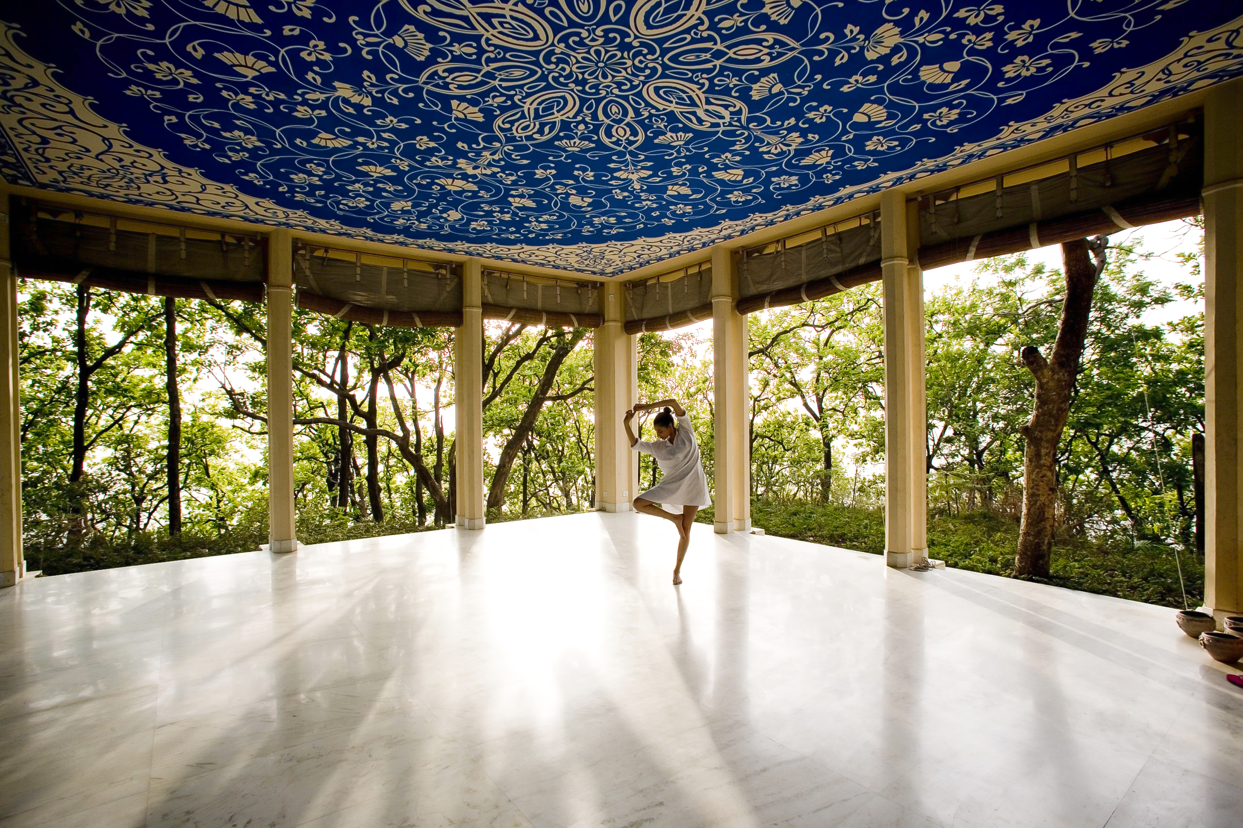 Yoga at Ananda in the Himalayas