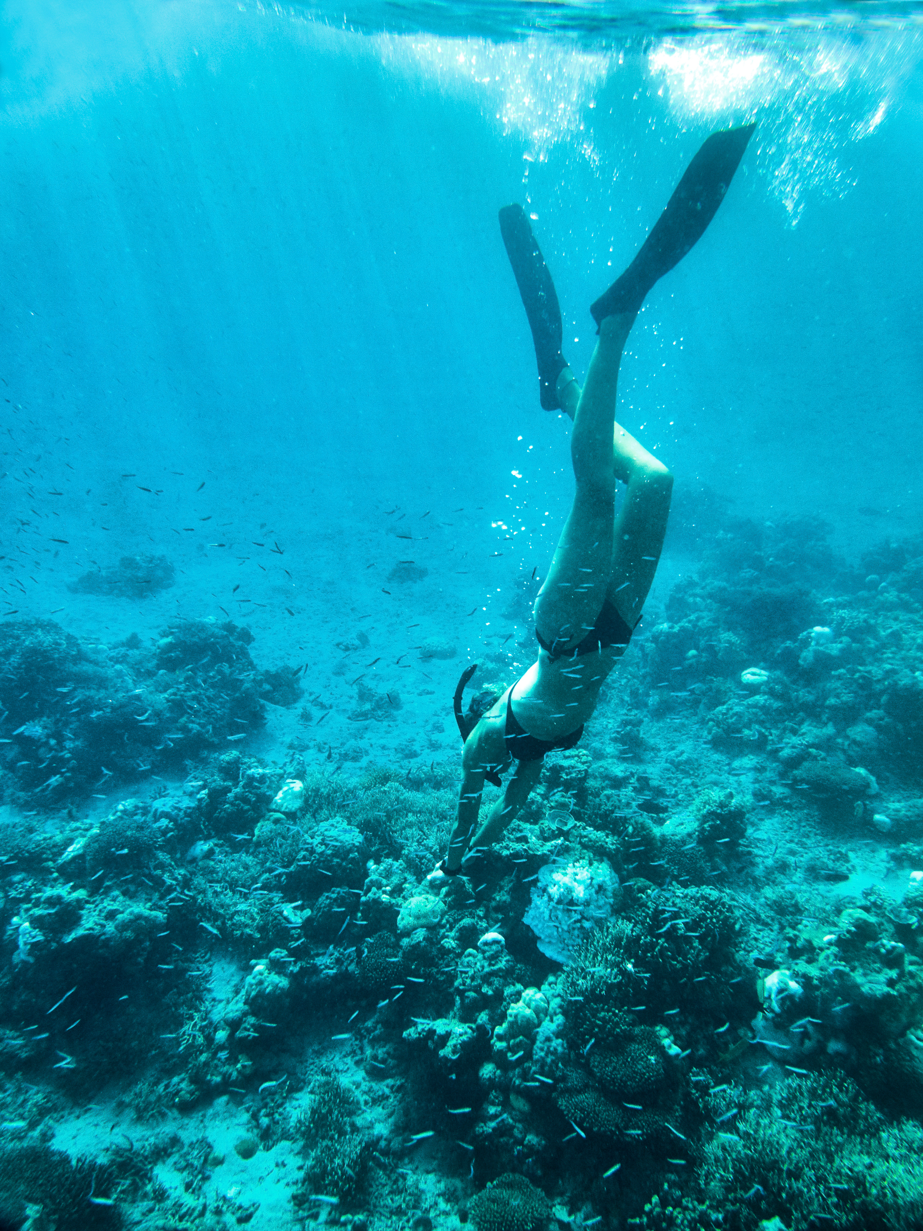 Free Diving