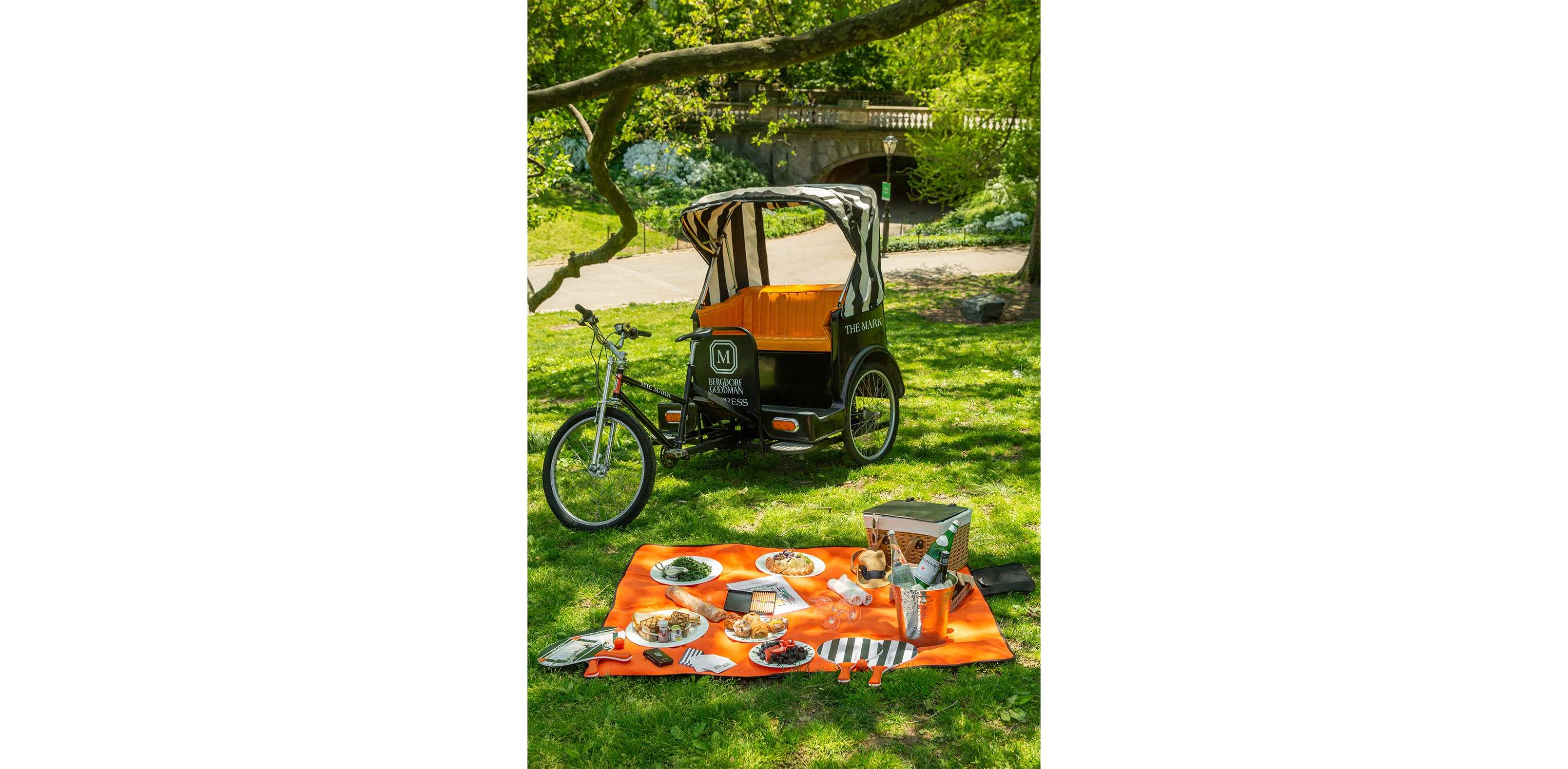 Picnic in the Park by Jean-Georges Vongerichten