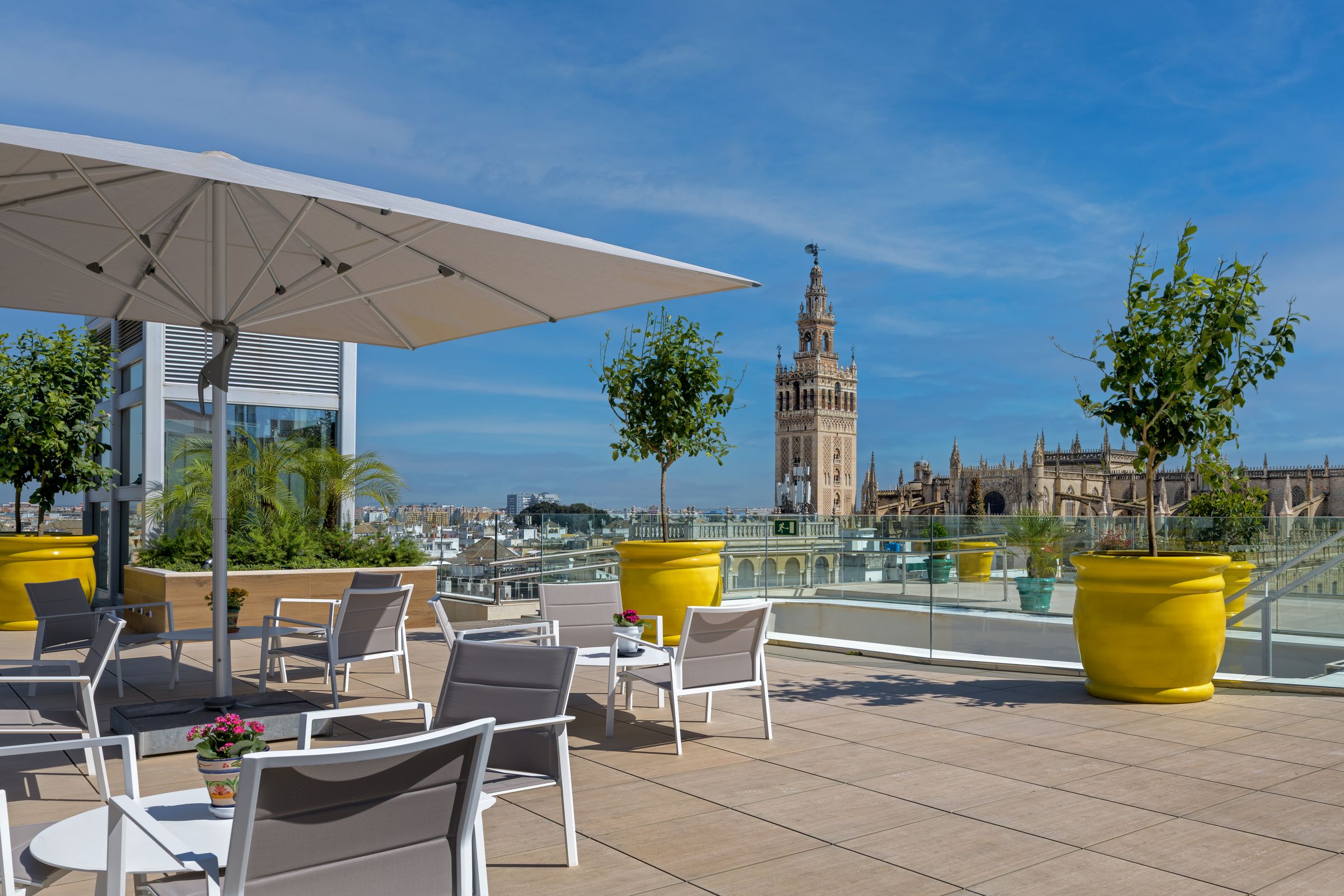 Rooftop Terrace
