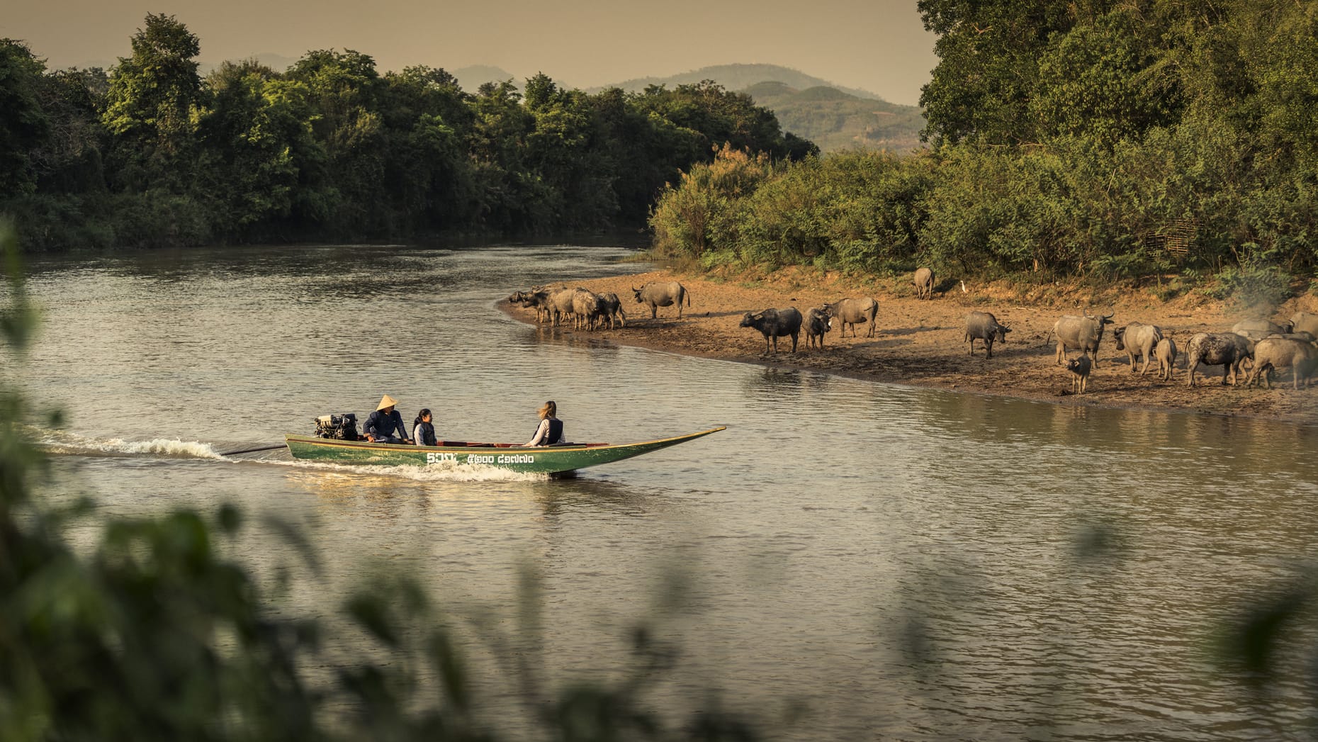 Top luxury hotels for wildlife adventures