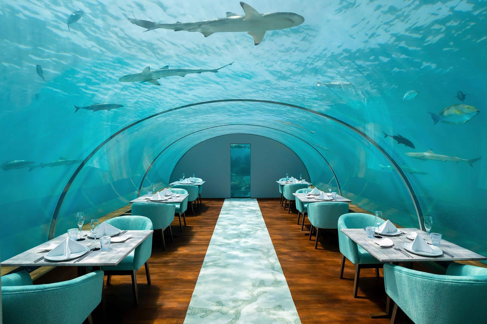 Ithaa Undersea Restaurant at Conrad Maldives Rangali Island, Maldives